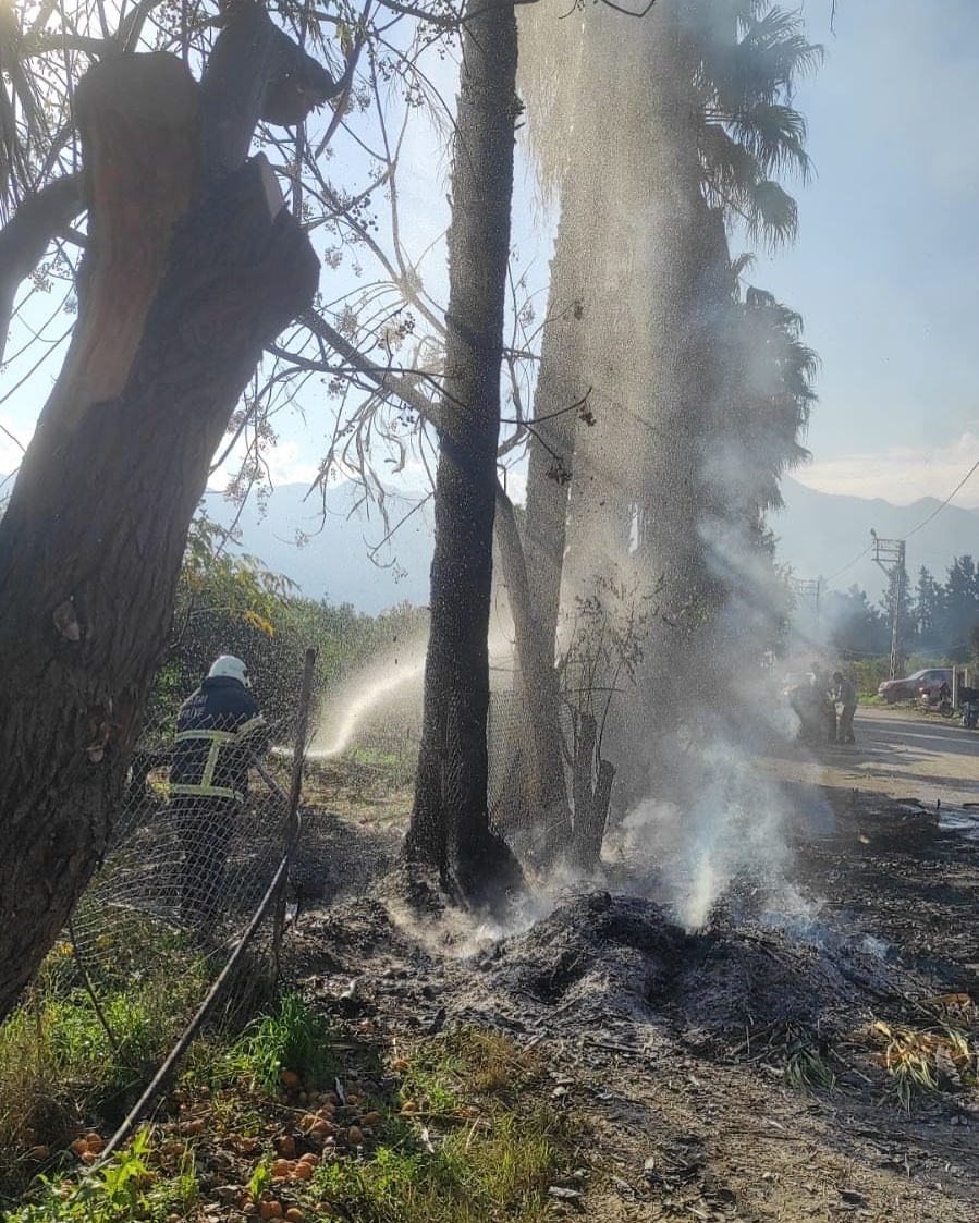 Arsuz’da çıkan otluk yangınını itfaiye söndürdü
