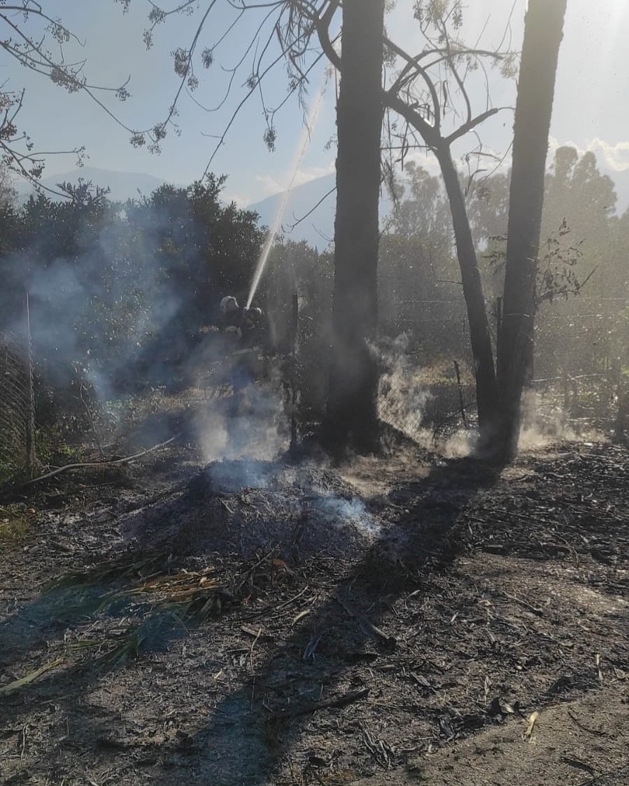 Arsuz’da çıkan otluk yangınını itfaiye söndürdü
