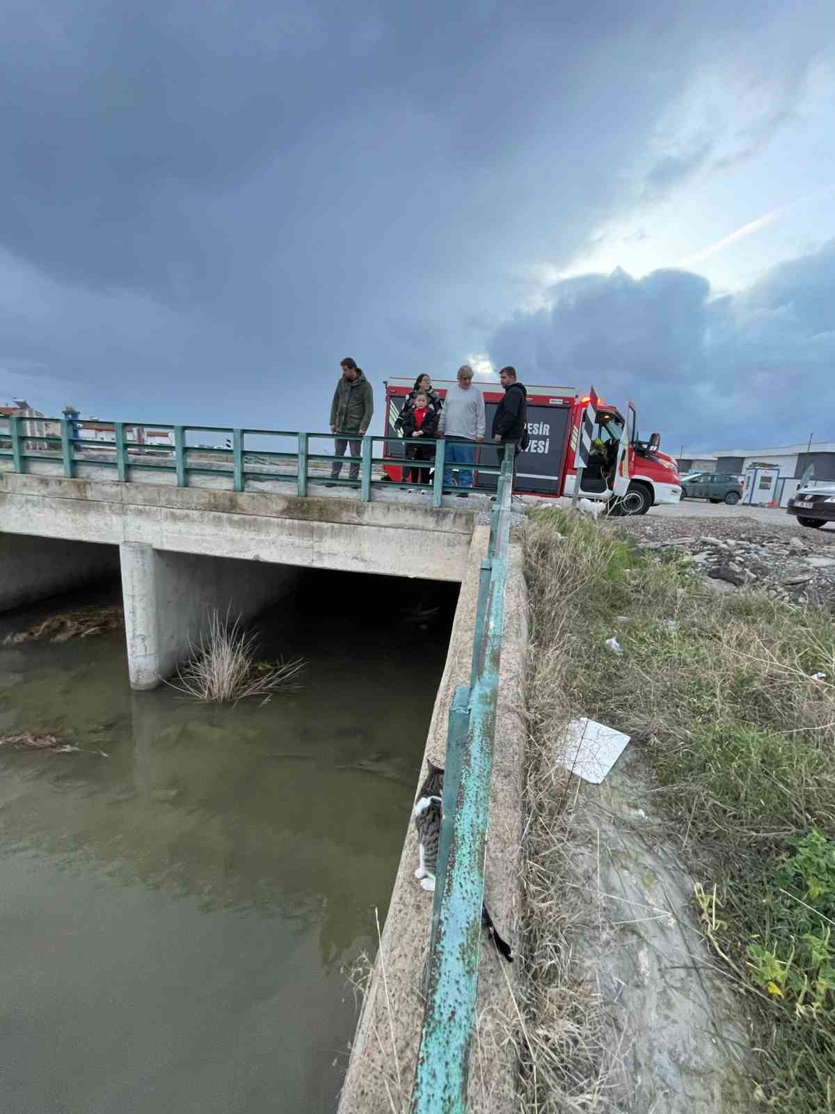 Köprü altında mahsur kalan kediyi itfaiye kurtardı
