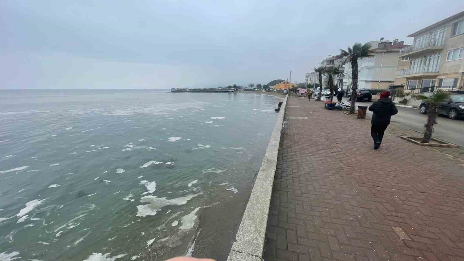 Mudanya’yı müsilaj sardı, deniz beyaz tabakayla örtüldü
