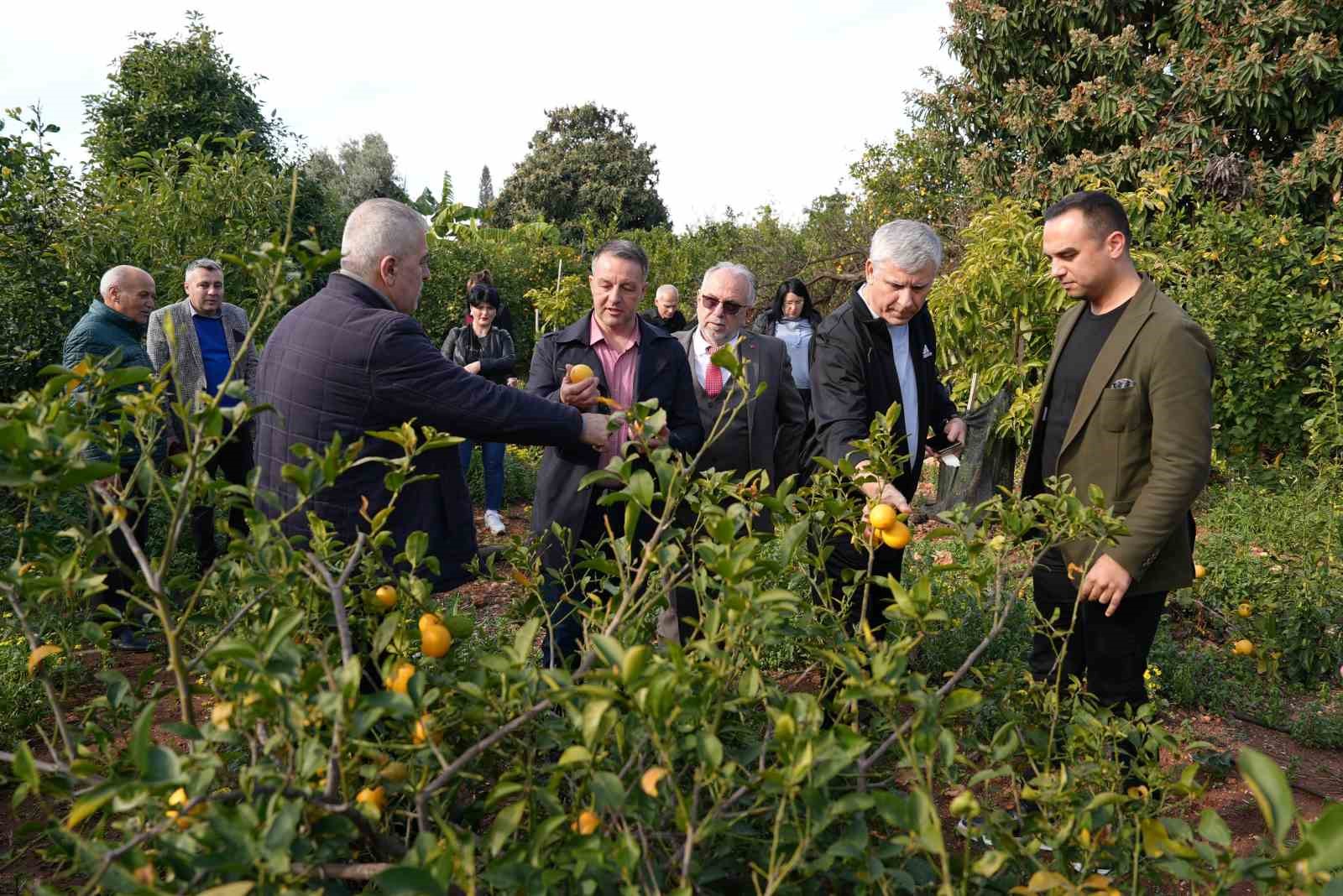 Romanya’nın Braila Belediye Başkanı Dragomir, Erdemli’ye hayran kaldı
