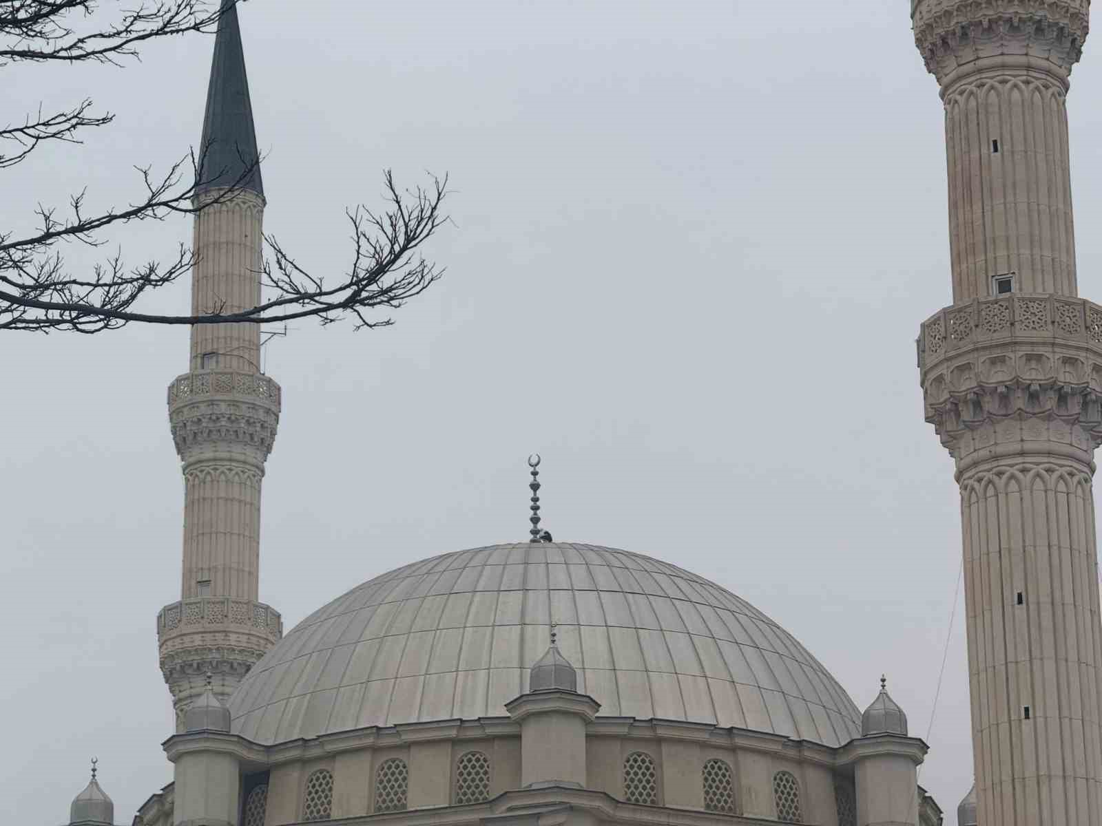 Iğdır’ın simgesi leylekler bu yıl da şehri terk etmedi
