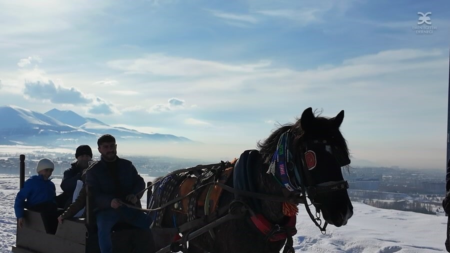 Tabyalarda köklerden göklere
