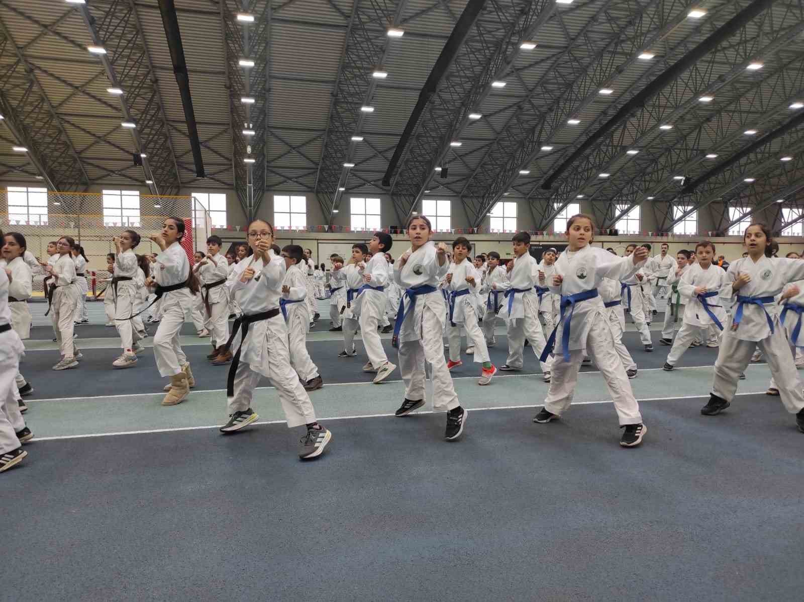 Osmangazi’de karate eğitim semineri
