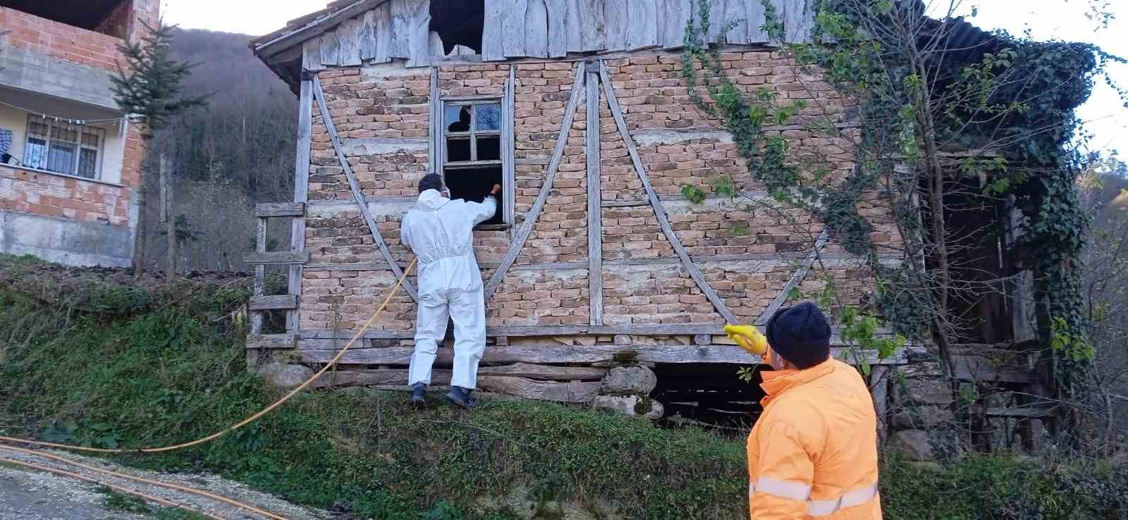 Ordu’da kahverengi kokarcaya karşı 200 bin nokta ilaçlandı
