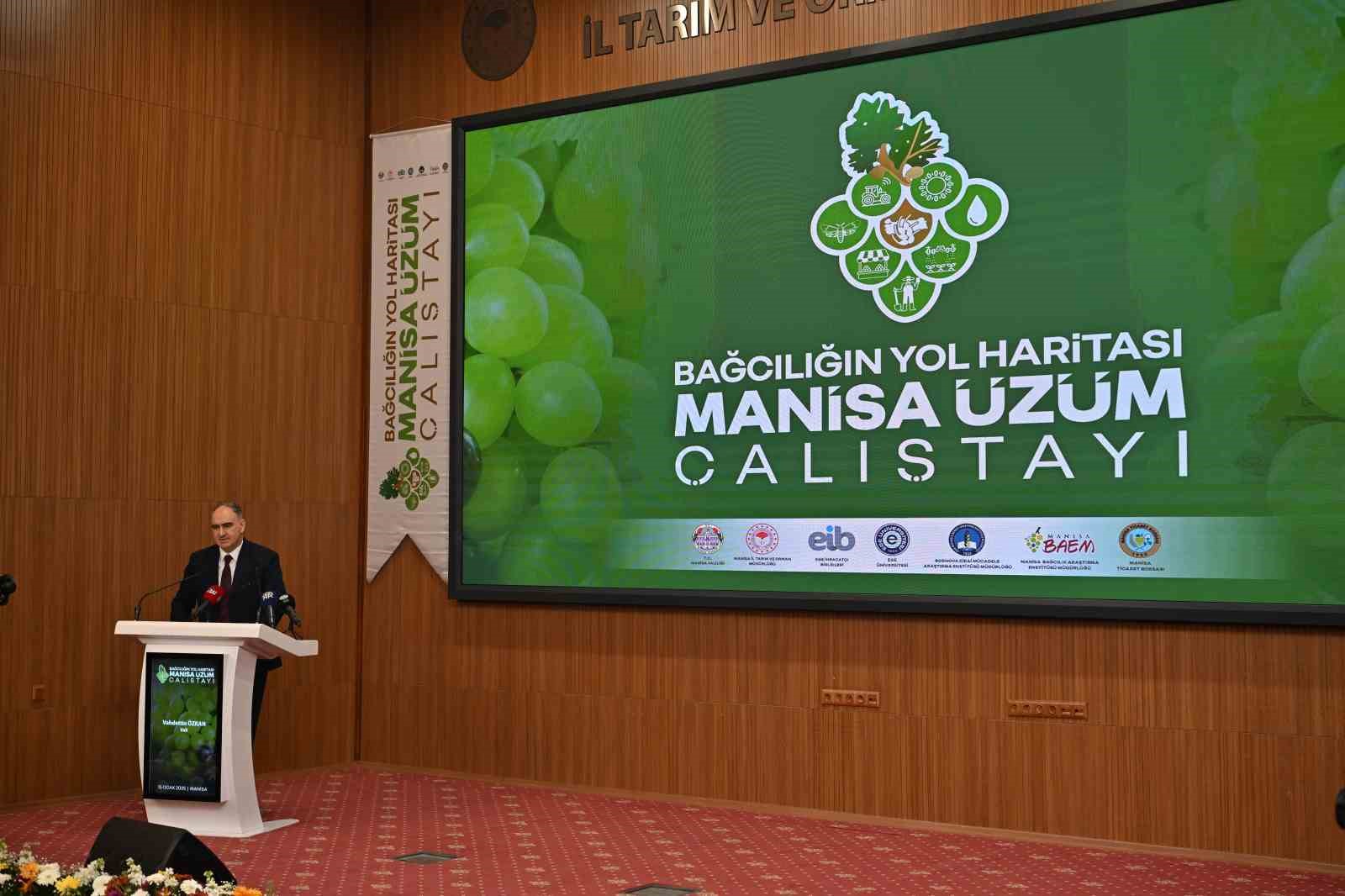 Manisa, bağcılıkta rekabetçi gücünü artırmak için çalışmalara başladı
