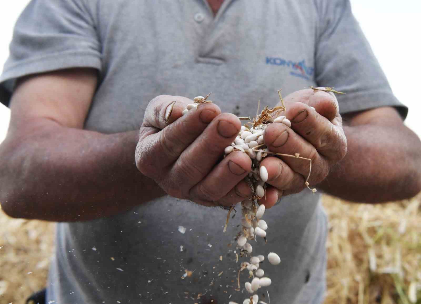 Geleneksel Çandır Fasulyesi Şenliği Hayatpark’ta gerçekleşecek
