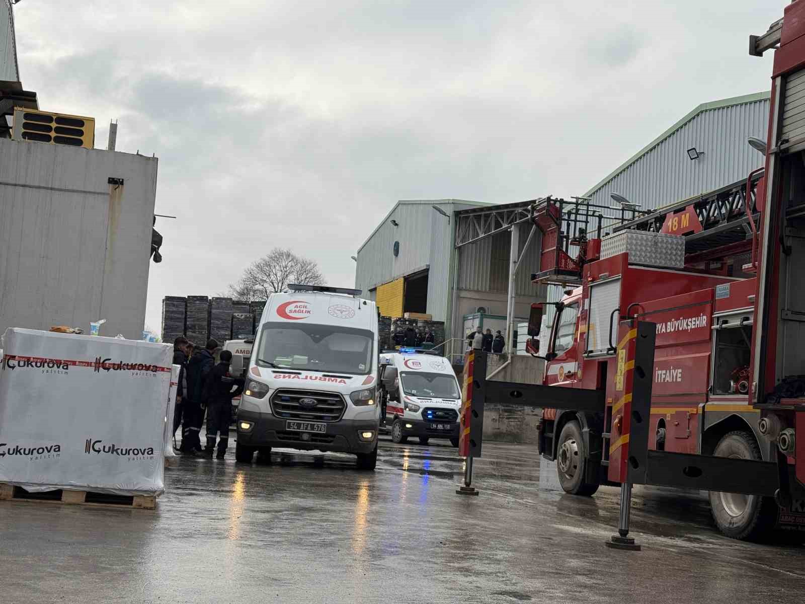 Sakarya’da yalıtım fabrikasında korkutan yangın: 2’si ağır 4 yaralı
