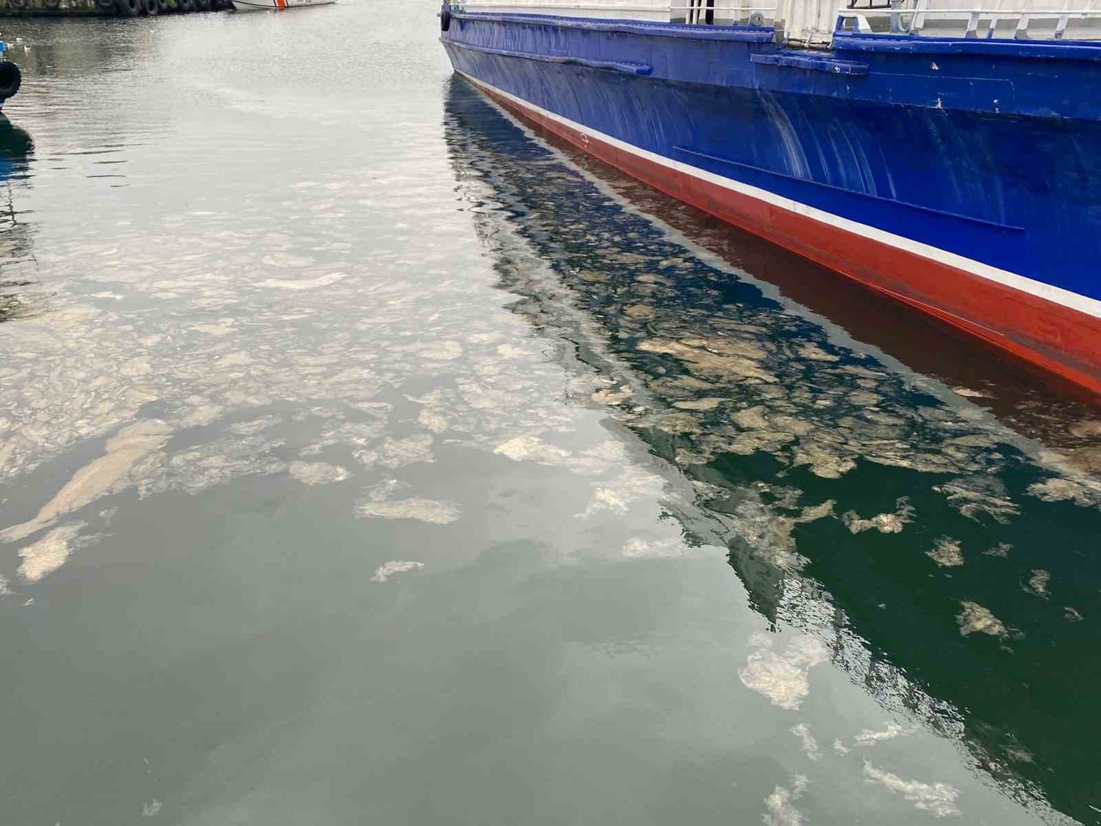 Kadıköy’de deniz yüzeyinde müsilaj tehdidi
