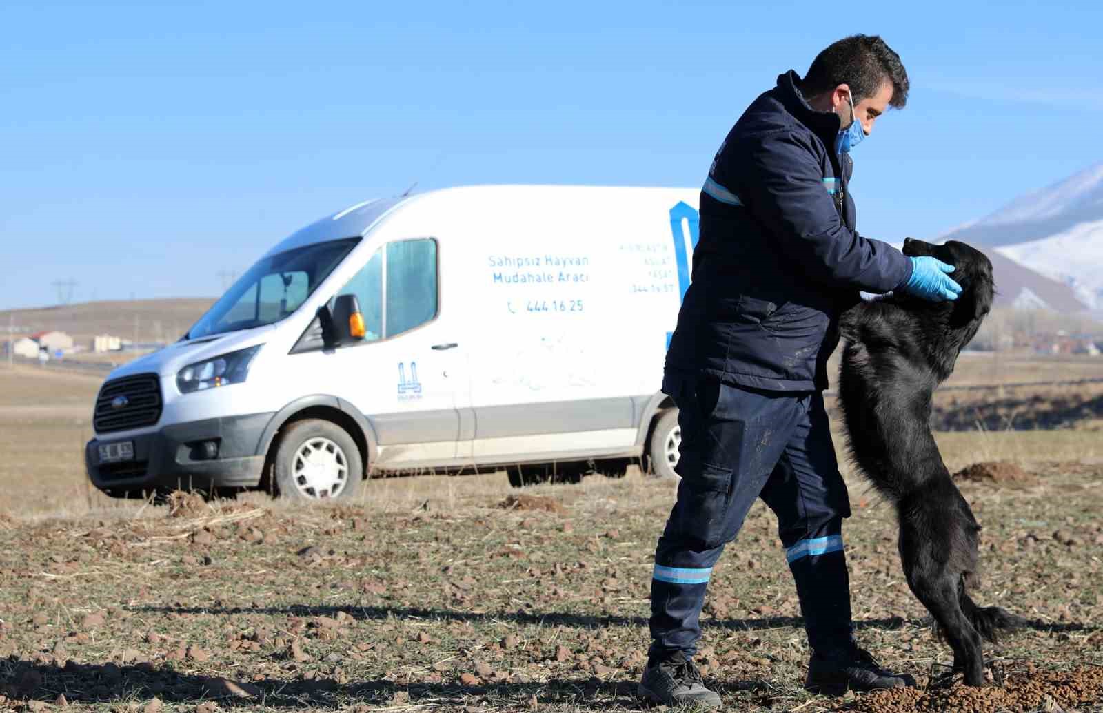 Büyükşehir Hayvan Barınağı’nın kapasitesini artırıyor
