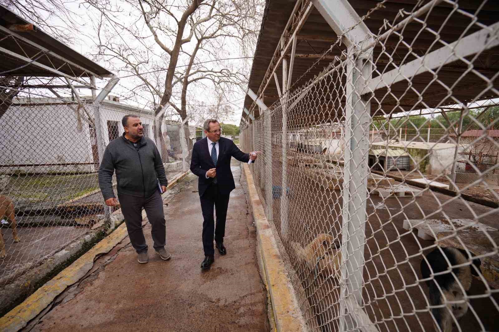 Ayvalık Belediyesi sokaktaki can dostların da yanında
