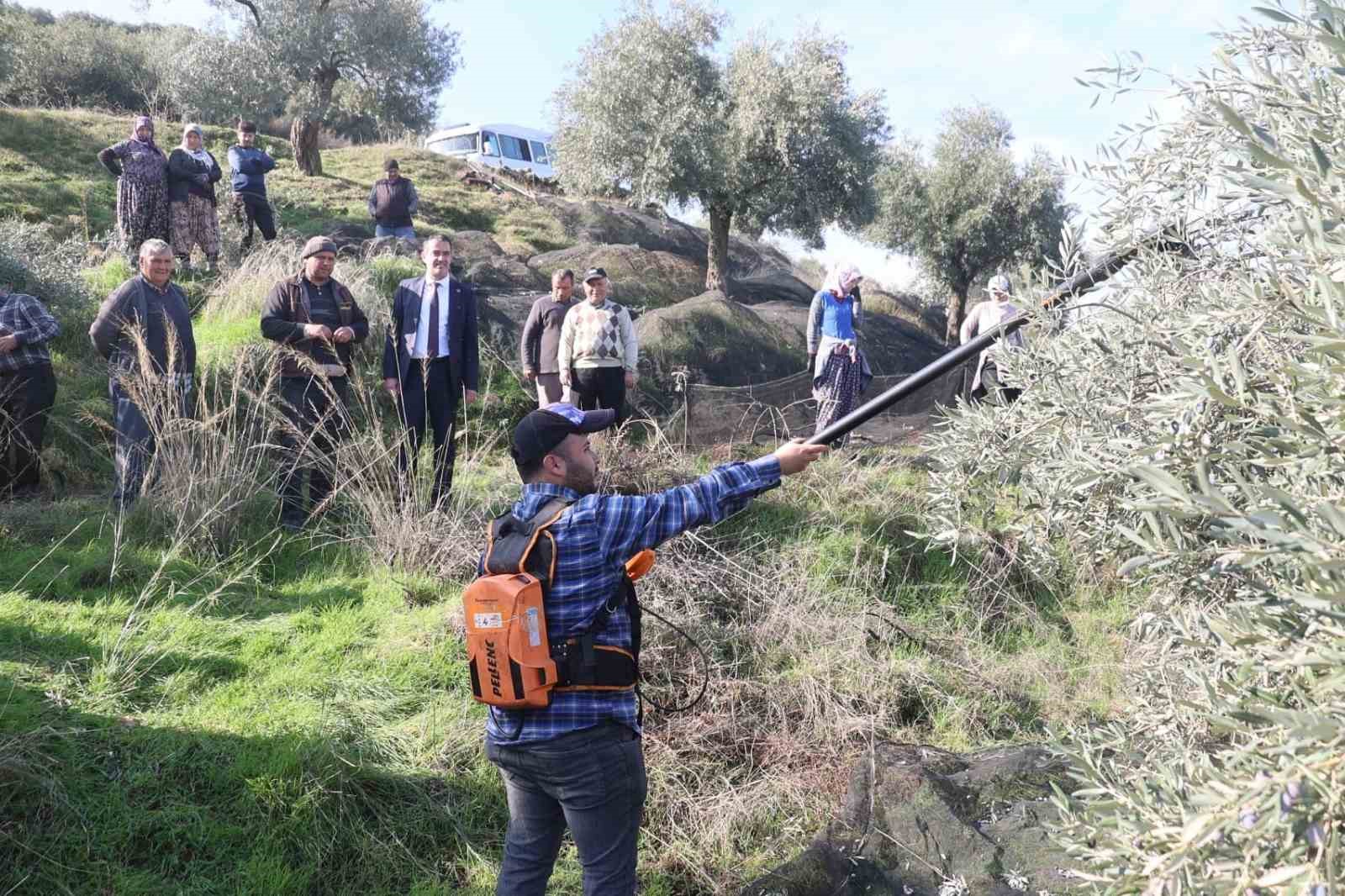 Başkan Arıcı zeytin hasadında üreticiler ve işçiler ile bir araya geldi
