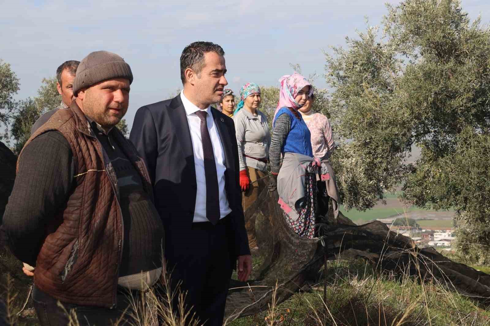 Başkan Arıcı zeytin hasadında üreticiler ve işçiler ile bir araya geldi
