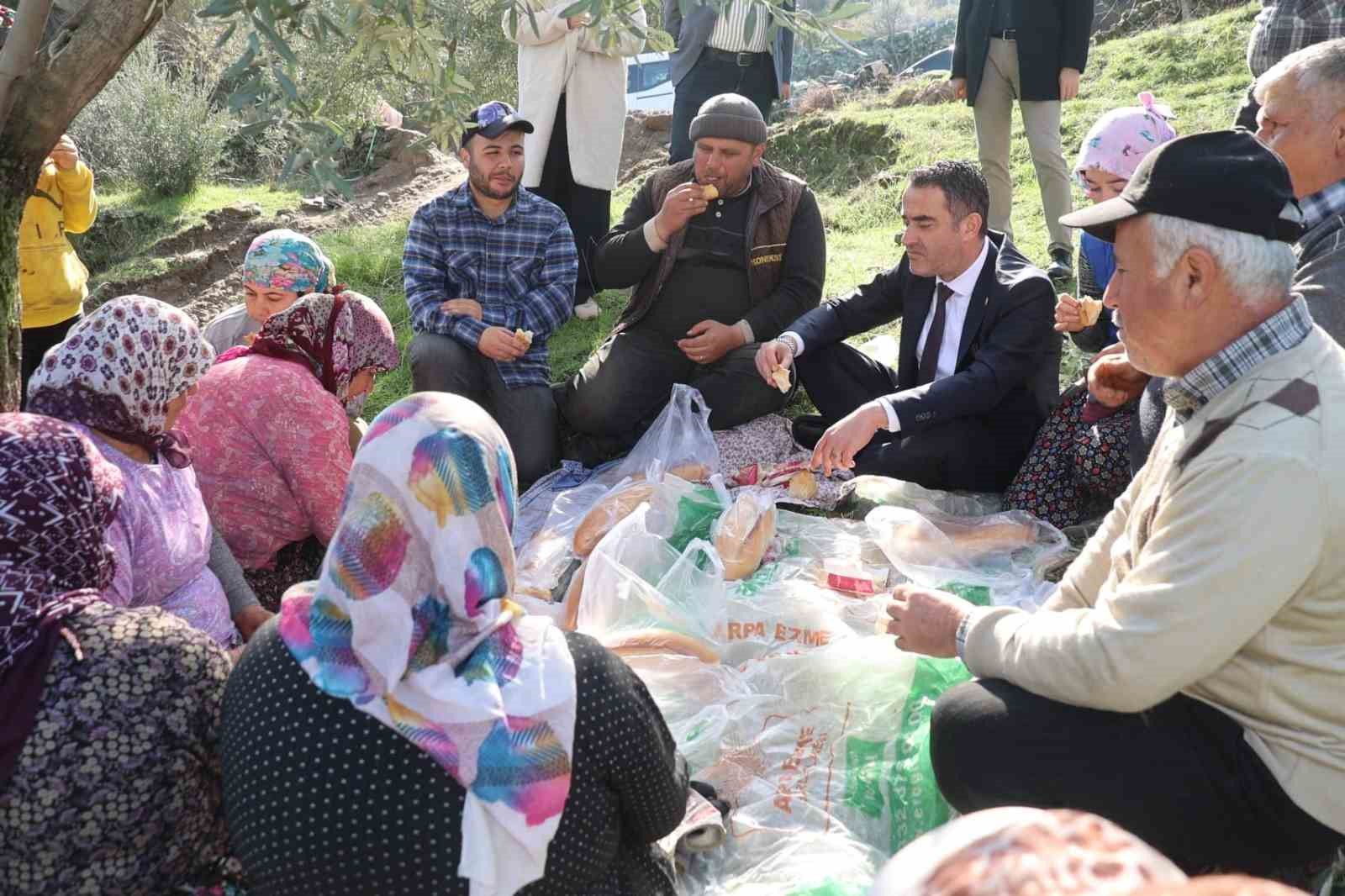 Başkan Arıcı zeytin hasadında üreticiler ve işçiler ile bir araya geldi
