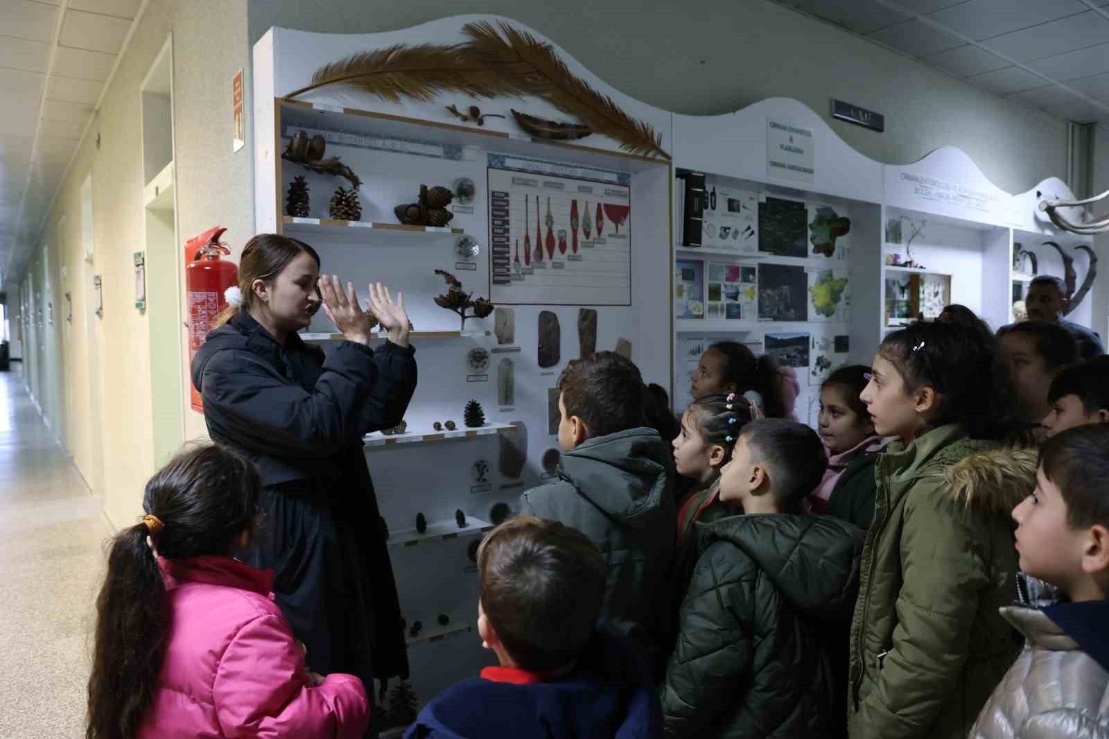 Minik doğa kaşifleri dondurulmuş hayvan müzesini gezdi
