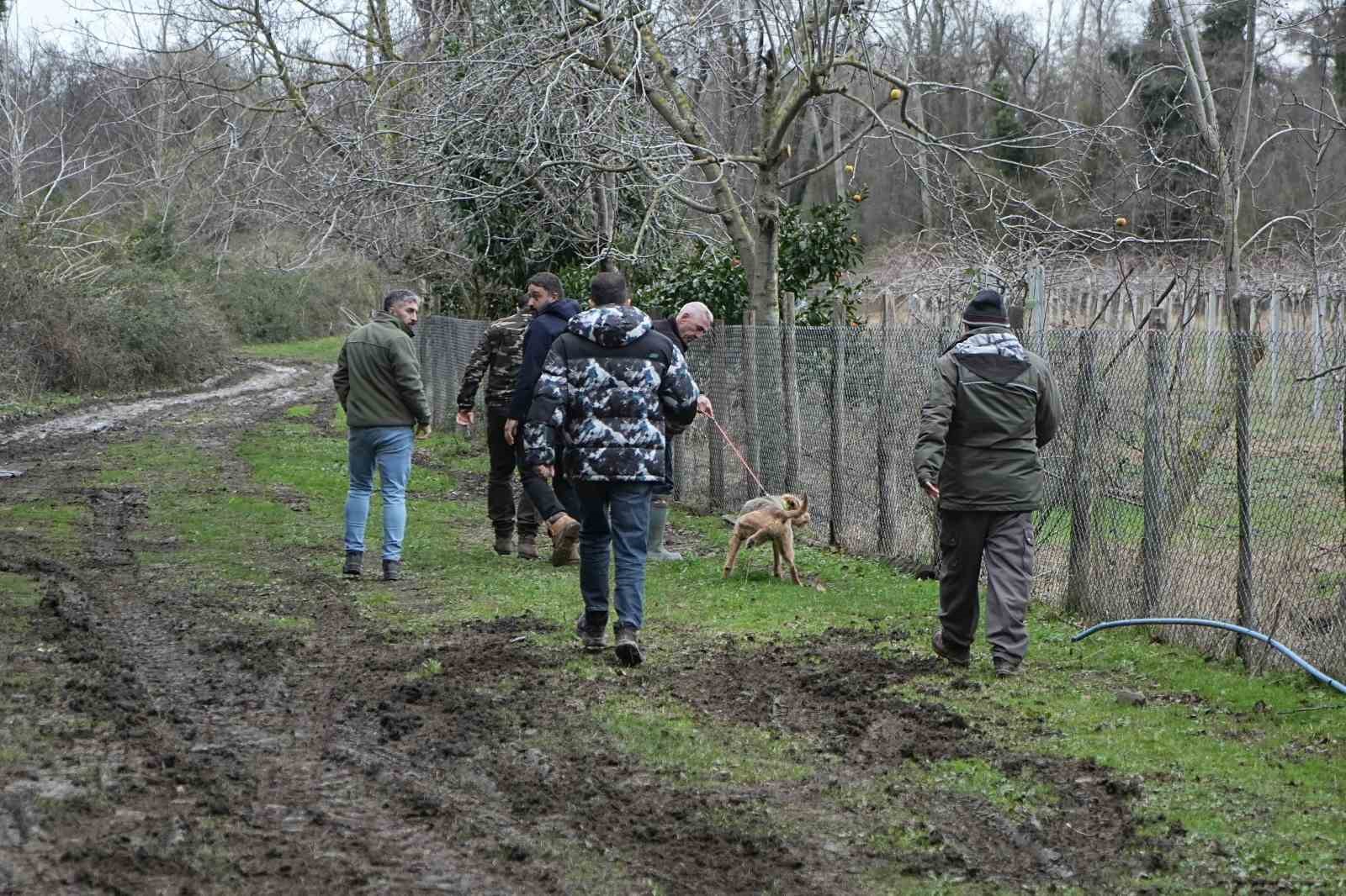 30 saattir firar olan ayı halen aranıyor
