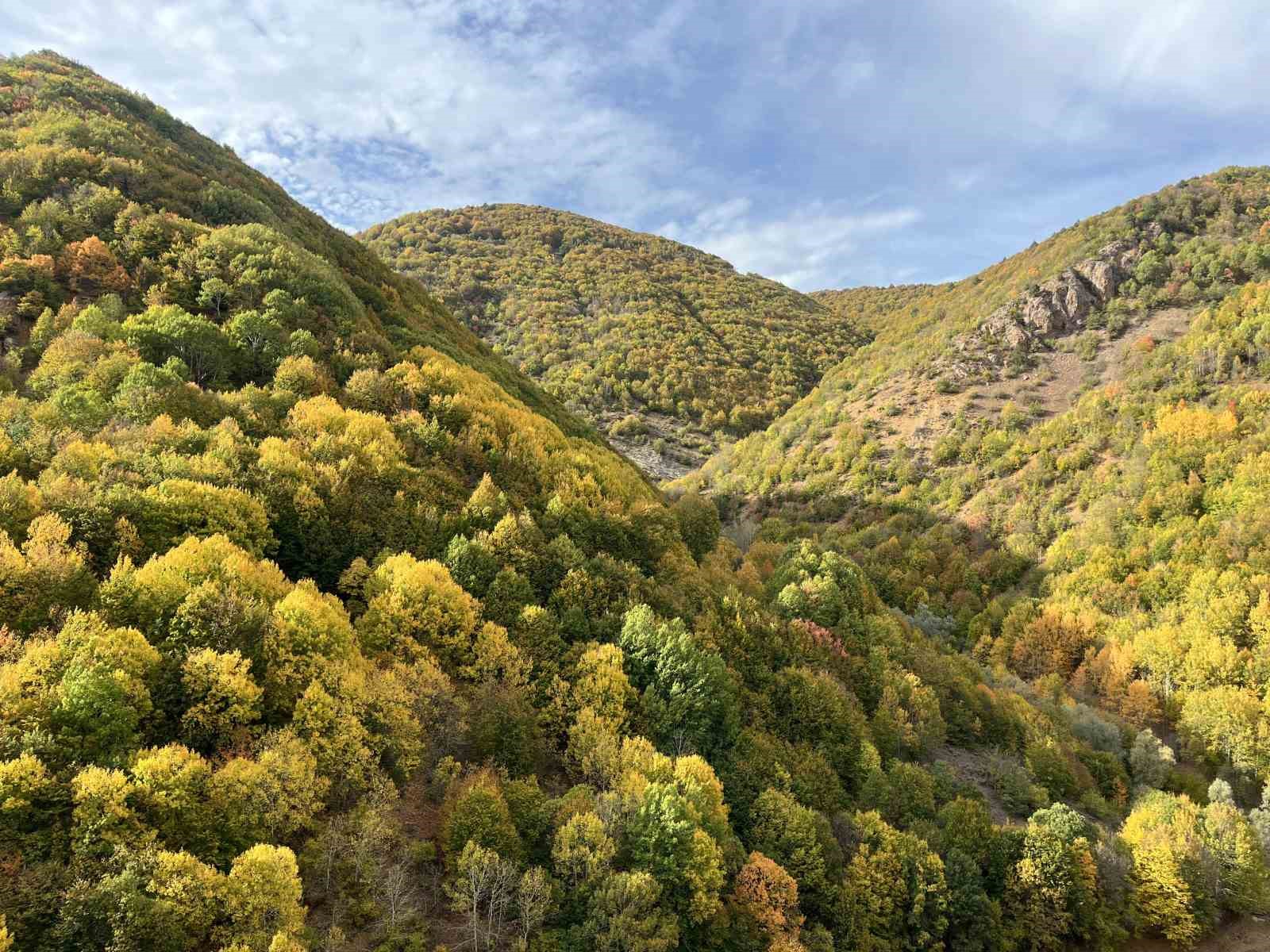 Dipsiz göl ve şelalesi tabiat parkı ilan edildi
