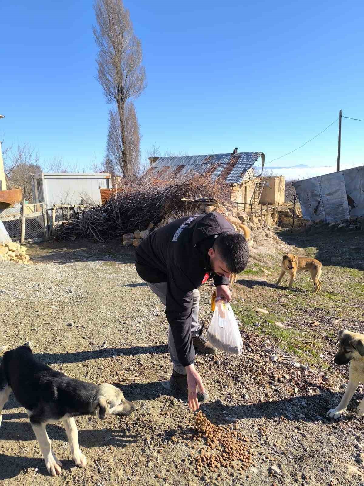 Elazığ Özel İdare ekipleri, sokak hayvanlarını unutmadı
