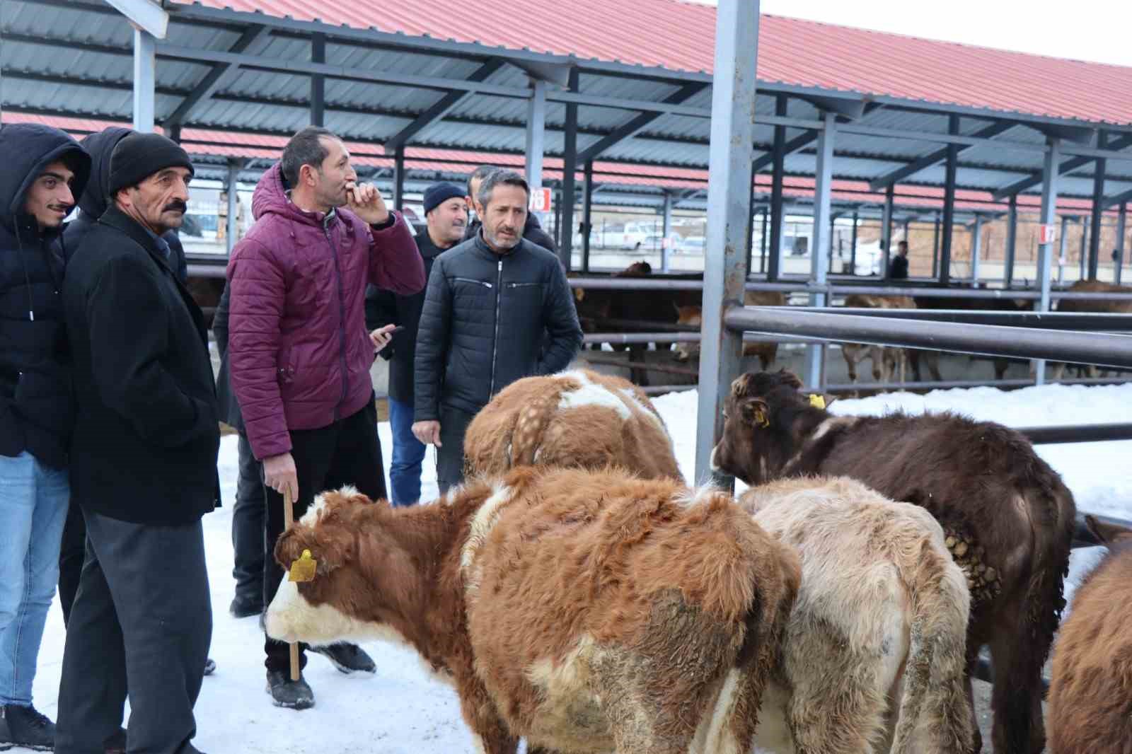 Oltu’daki hayvan pazarı yeniden açıldı
