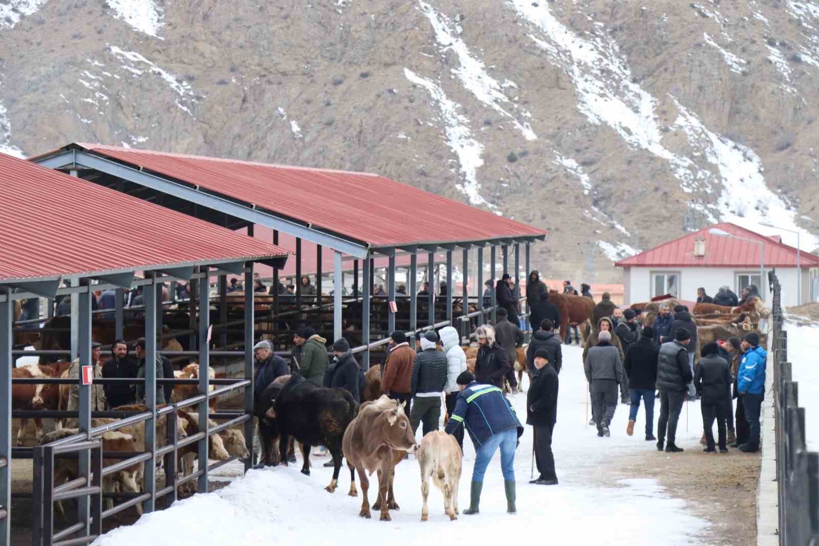 Oltu’daki hayvan pazarı yeniden açıldı
