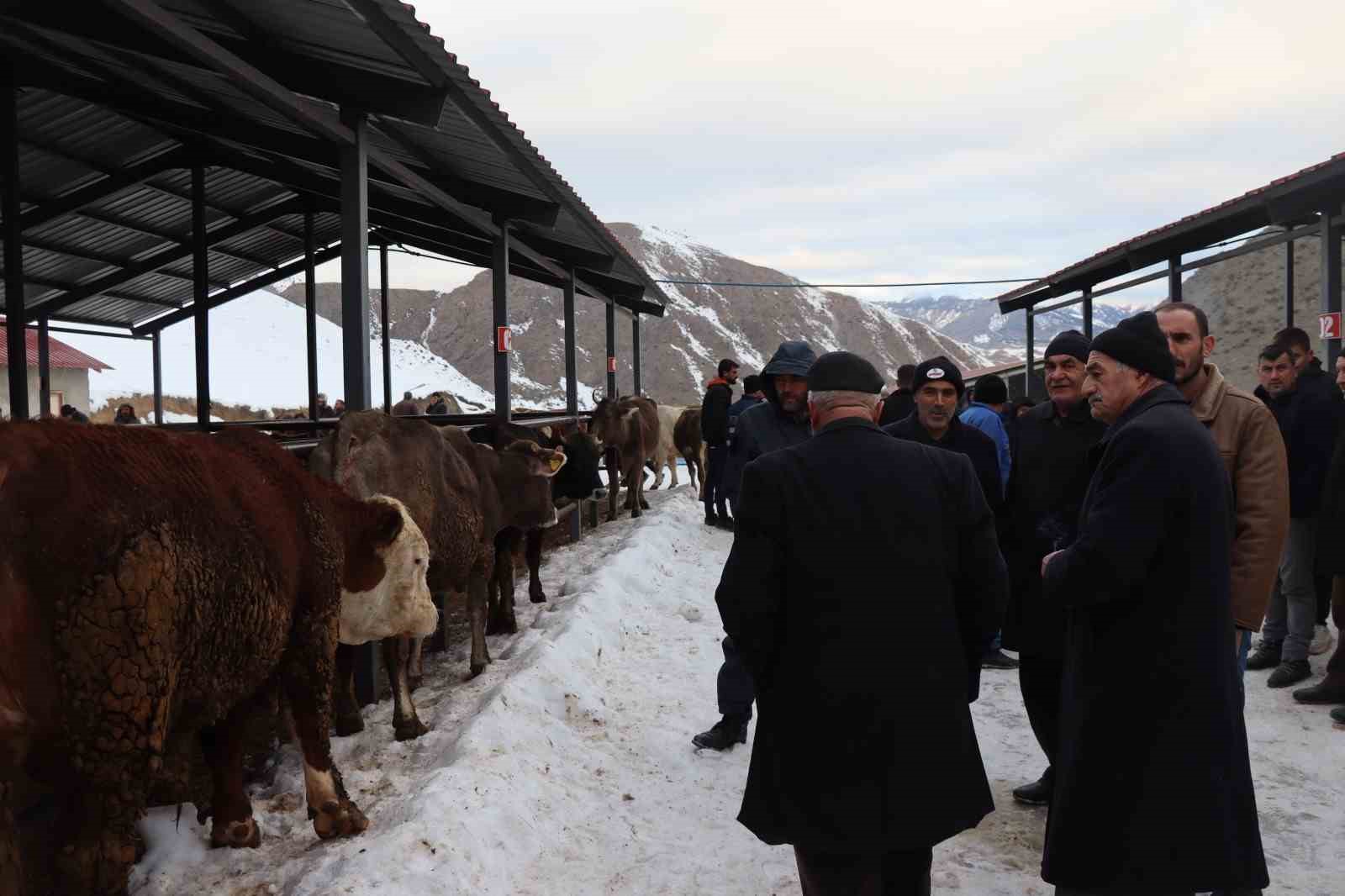 Oltu’daki hayvan pazarı yeniden açıldı
