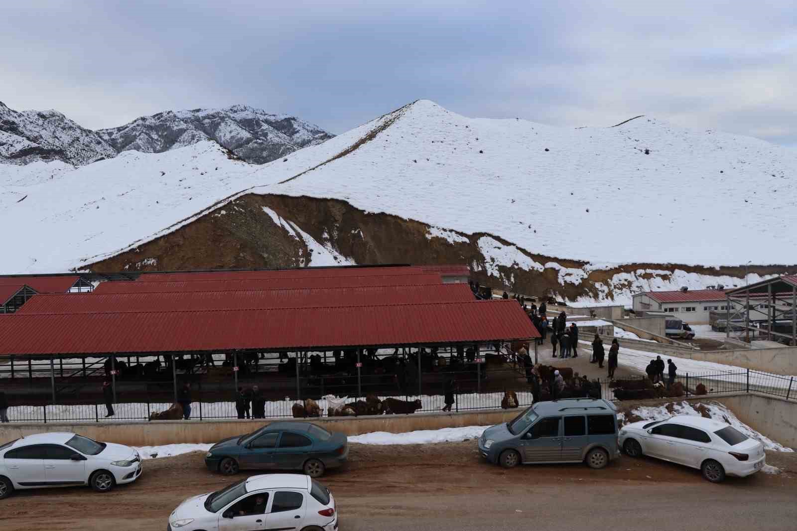 Oltu’daki hayvan pazarı yeniden açıldı
