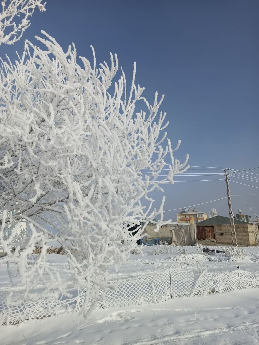 Özalp ve Saray buz kesti, ağaçlar kırağı tuttu
