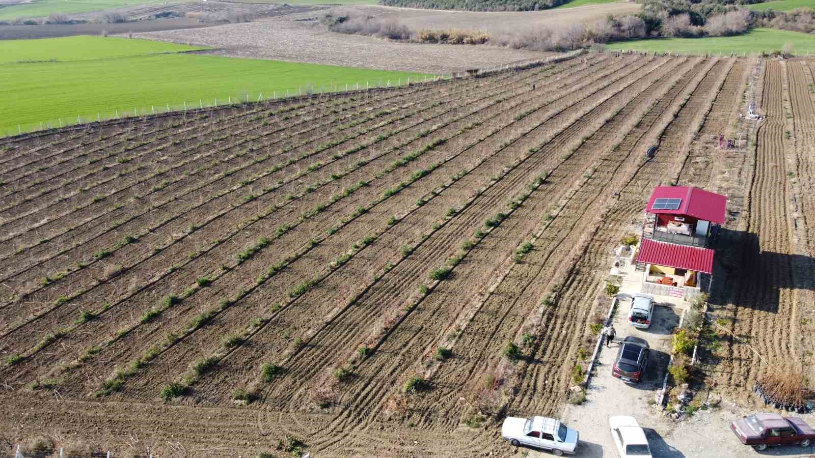 Teknoloji nasırlı ellere deva oldu
