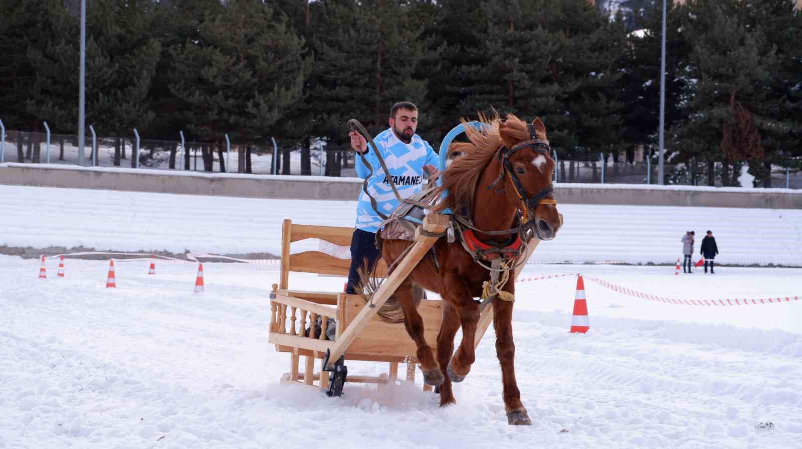 Erzurum’da atlı kızak heyecanı
