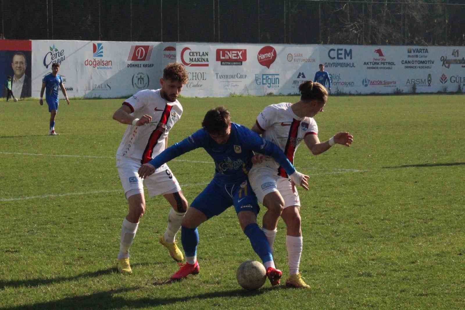 TFF 2. Lig: Belediye Derincespor: 1 - Vanspor FK: 4
