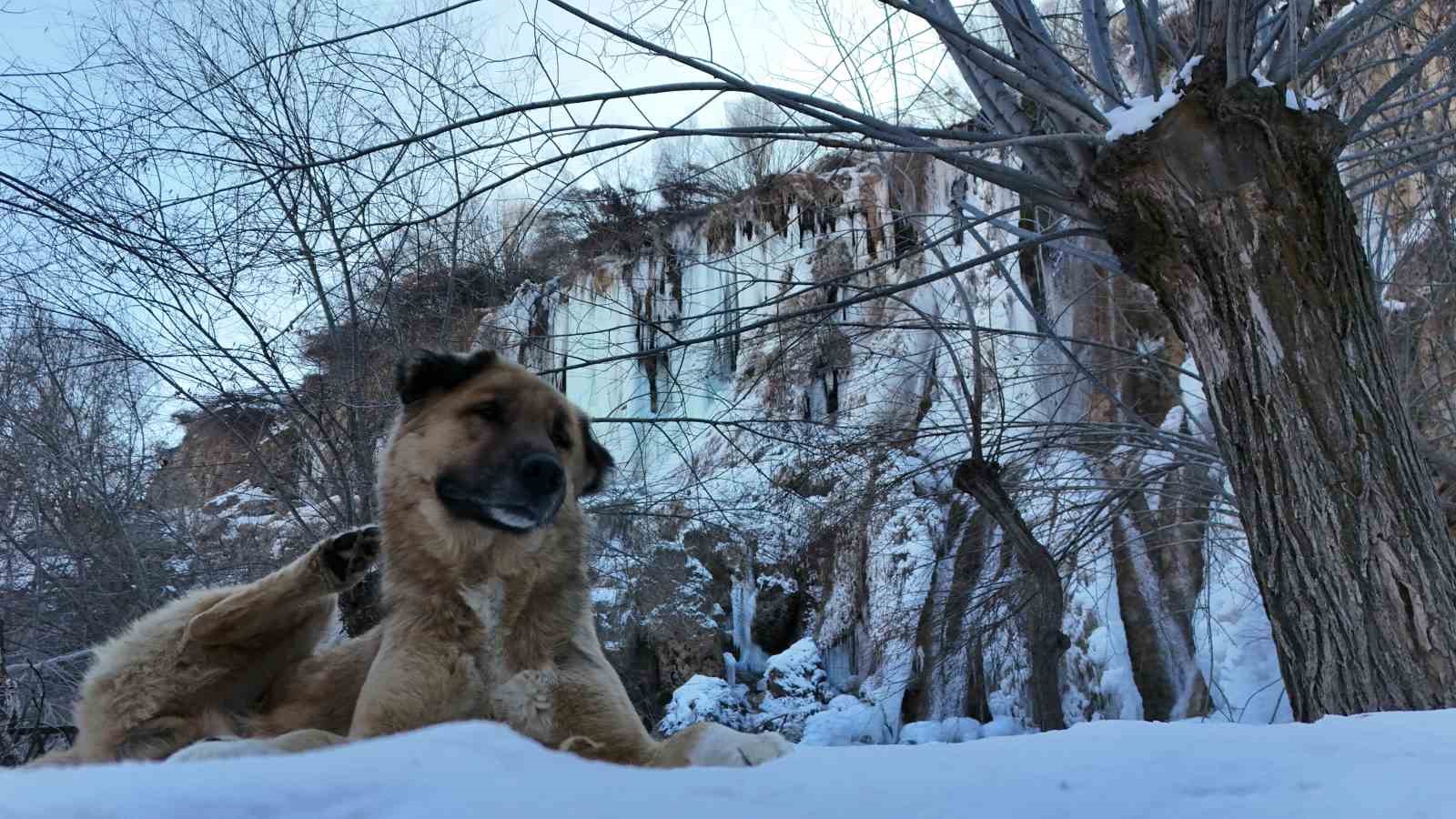 Erzincan’da buz tutan şelale, göl ve göletler havadan görüntülendi
