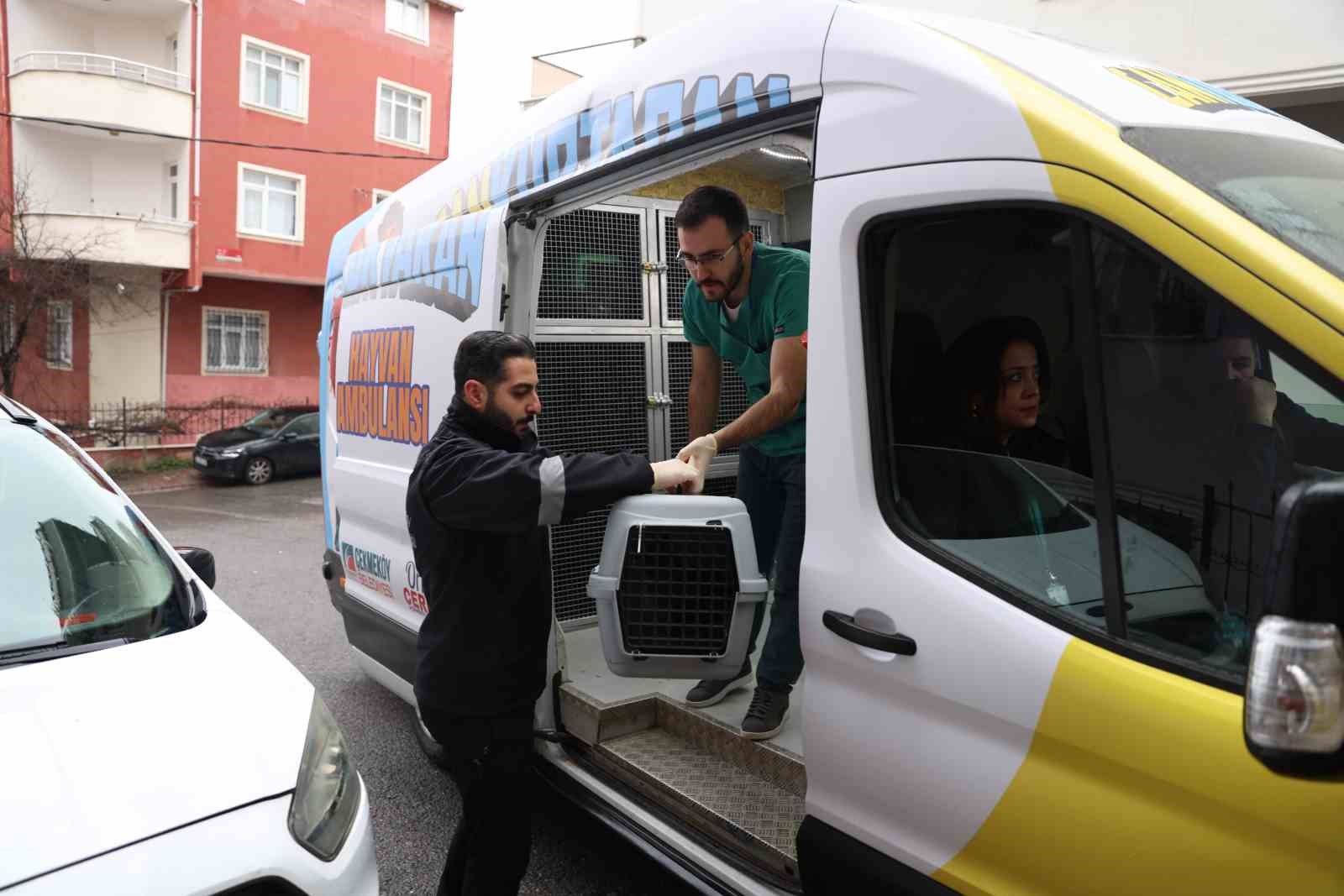 Hayvanlar için yeni proje: Cankurtaran Hayvan Ambulansı
