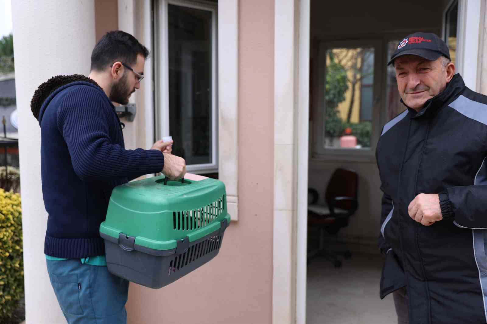 Hayvanlar için yeni proje: Cankurtaran Hayvan Ambulansı
