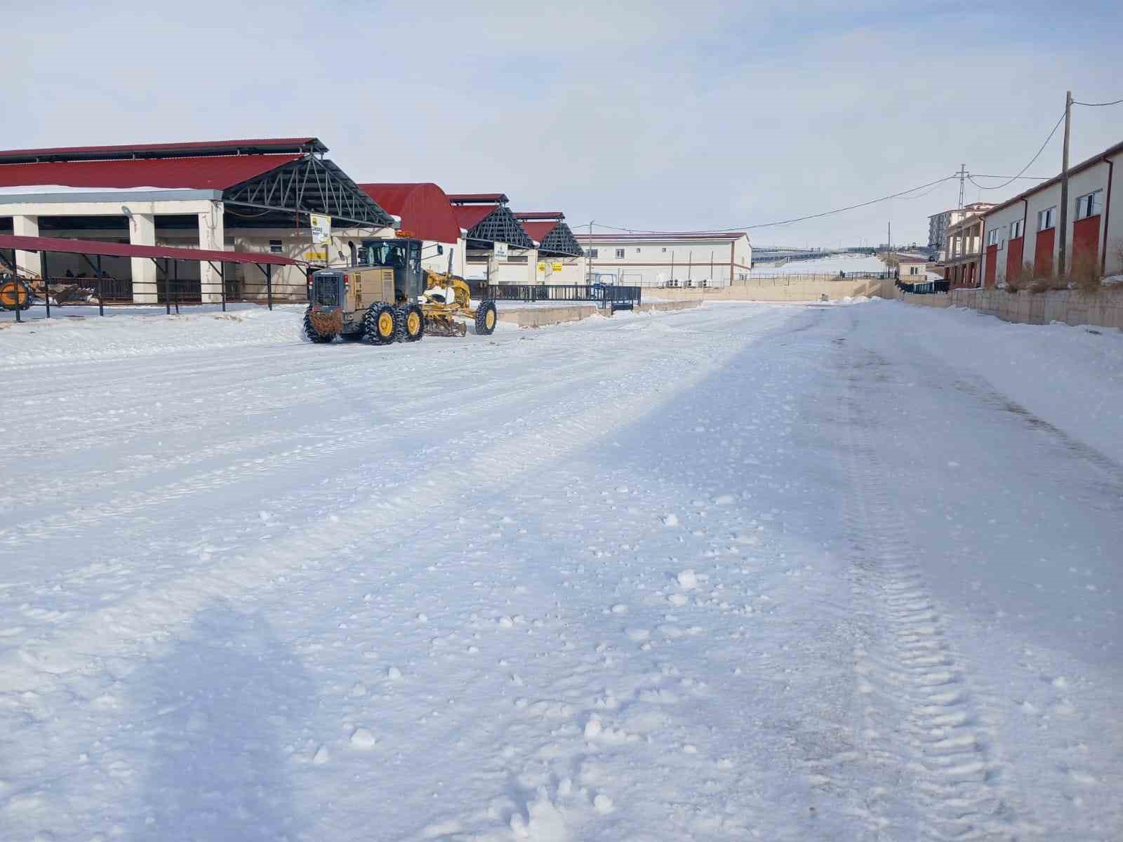 Bayburt’ta canlı hayvan pazarı yarın açılacak
