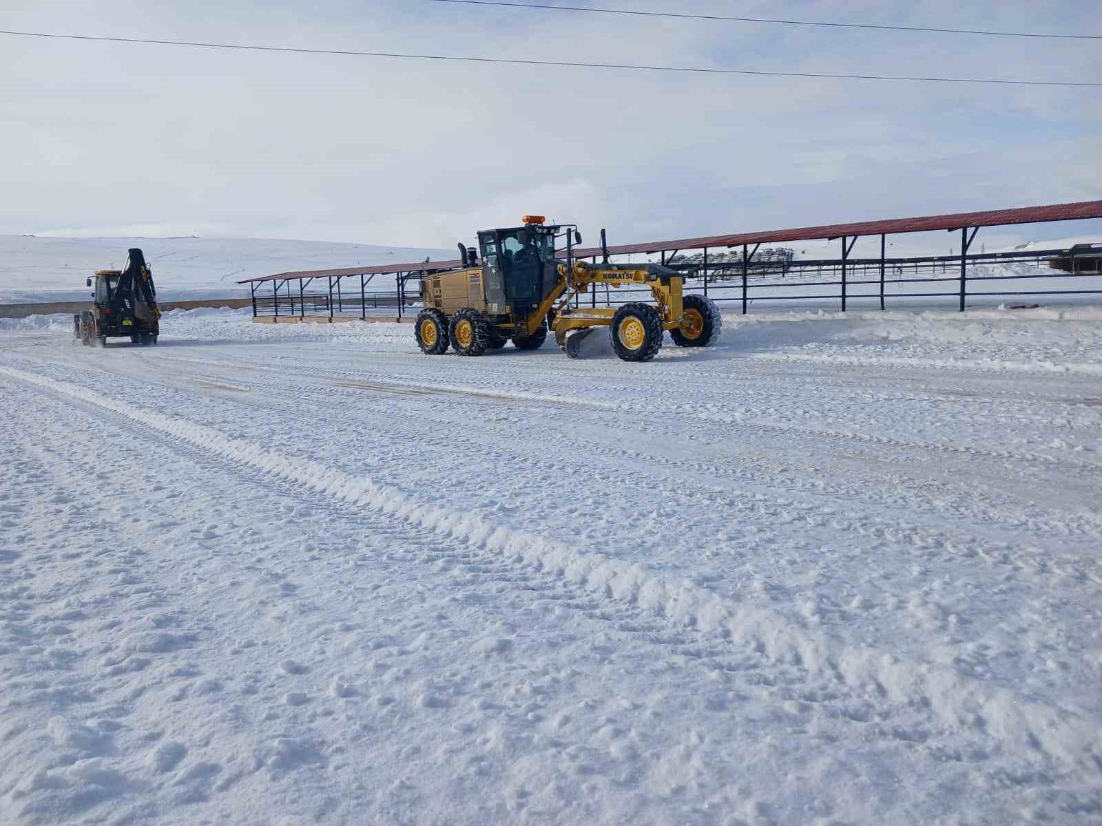 Bayburt’ta canlı hayvan pazarı yarın açılacak
