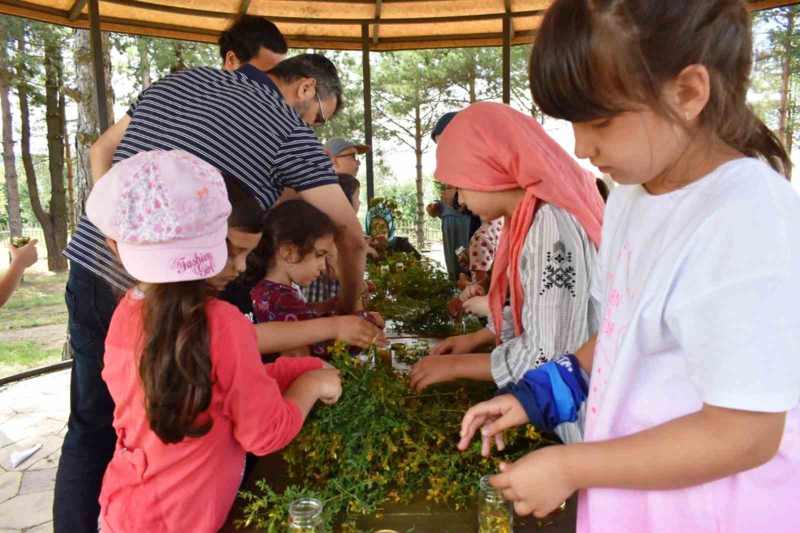 Canik Orman Okulu’nda 5 bine yakın öğrenciye eğitim
