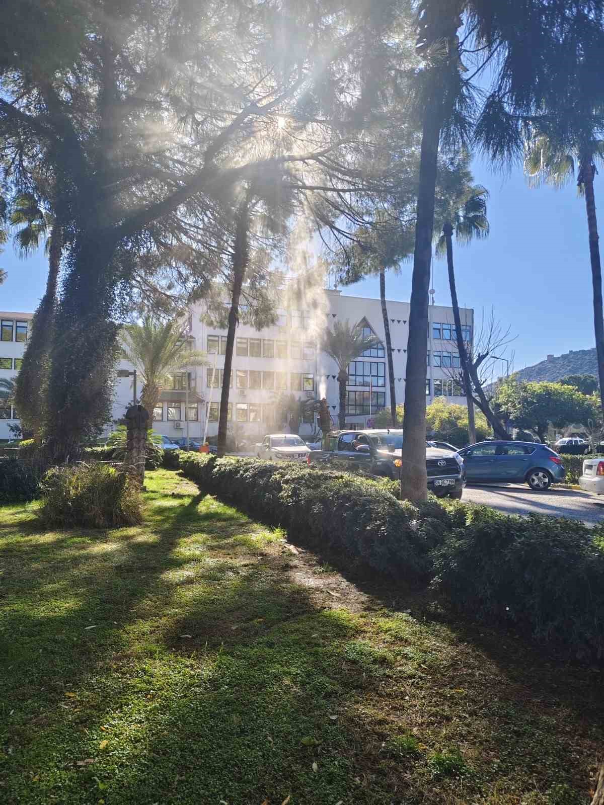 Alanya Belediyesi çam kese böceğine önlem aldı
