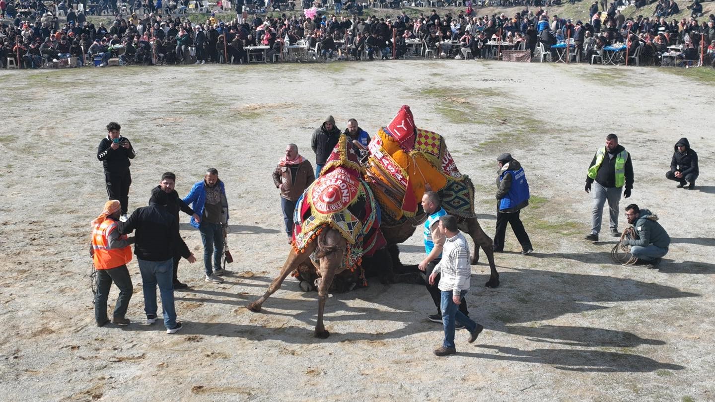 Burhaniye’de hasat festivali için geri sayım başladı
