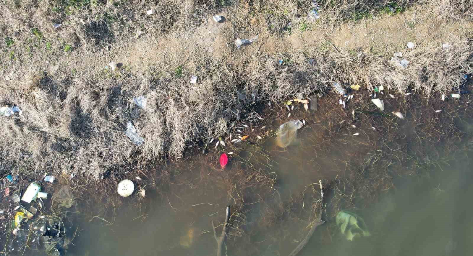 İstanbul’da korkutan görüntü, yüzlerce balık ölüsü kıyıya vurdu, tarihi Varan Gölü çöplüğe döndü
