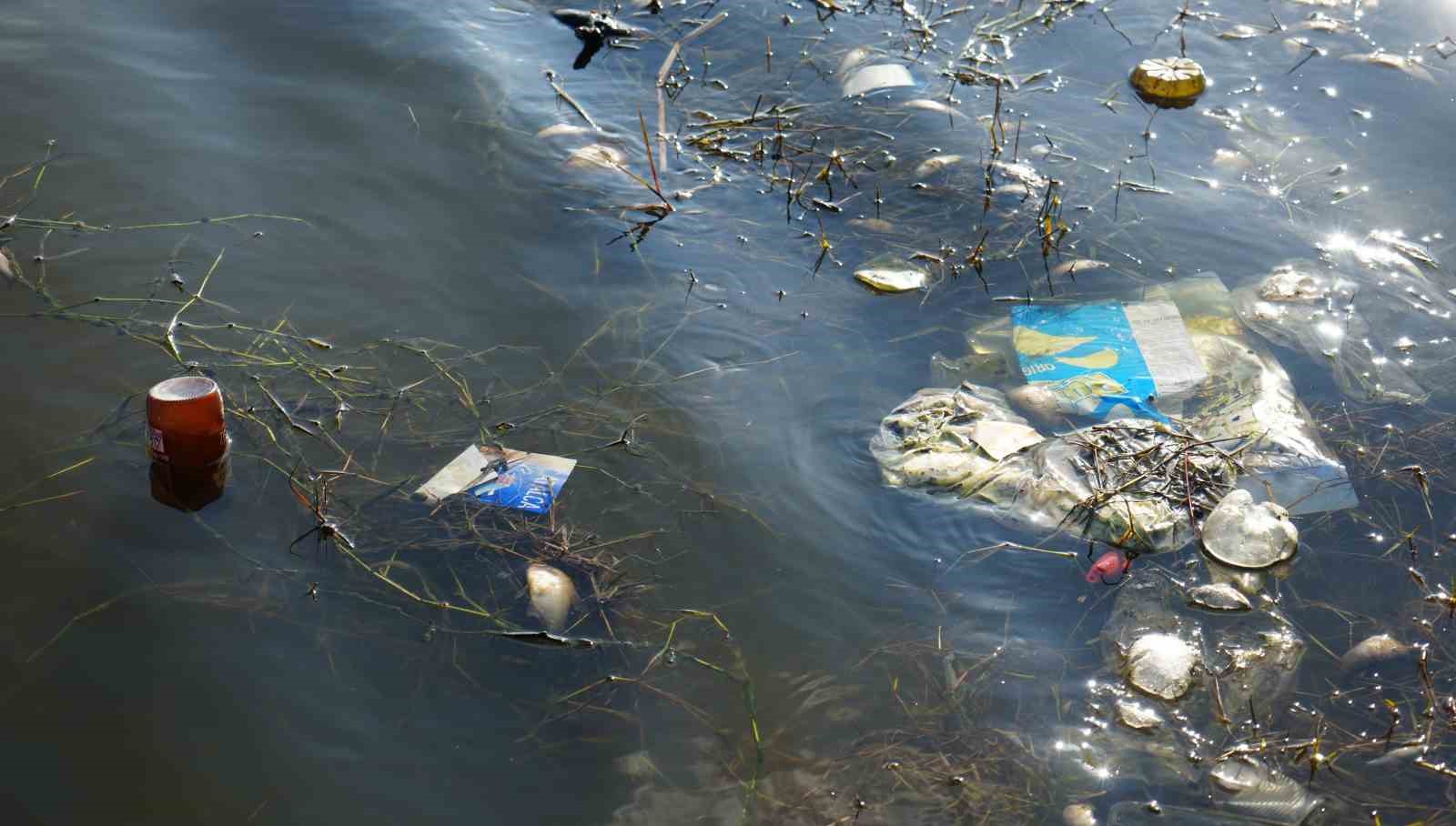 İstanbul’da korkutan görüntü, yüzlerce balık ölüsü kıyıya vurdu, tarihi Varan Gölü çöplüğe döndü
