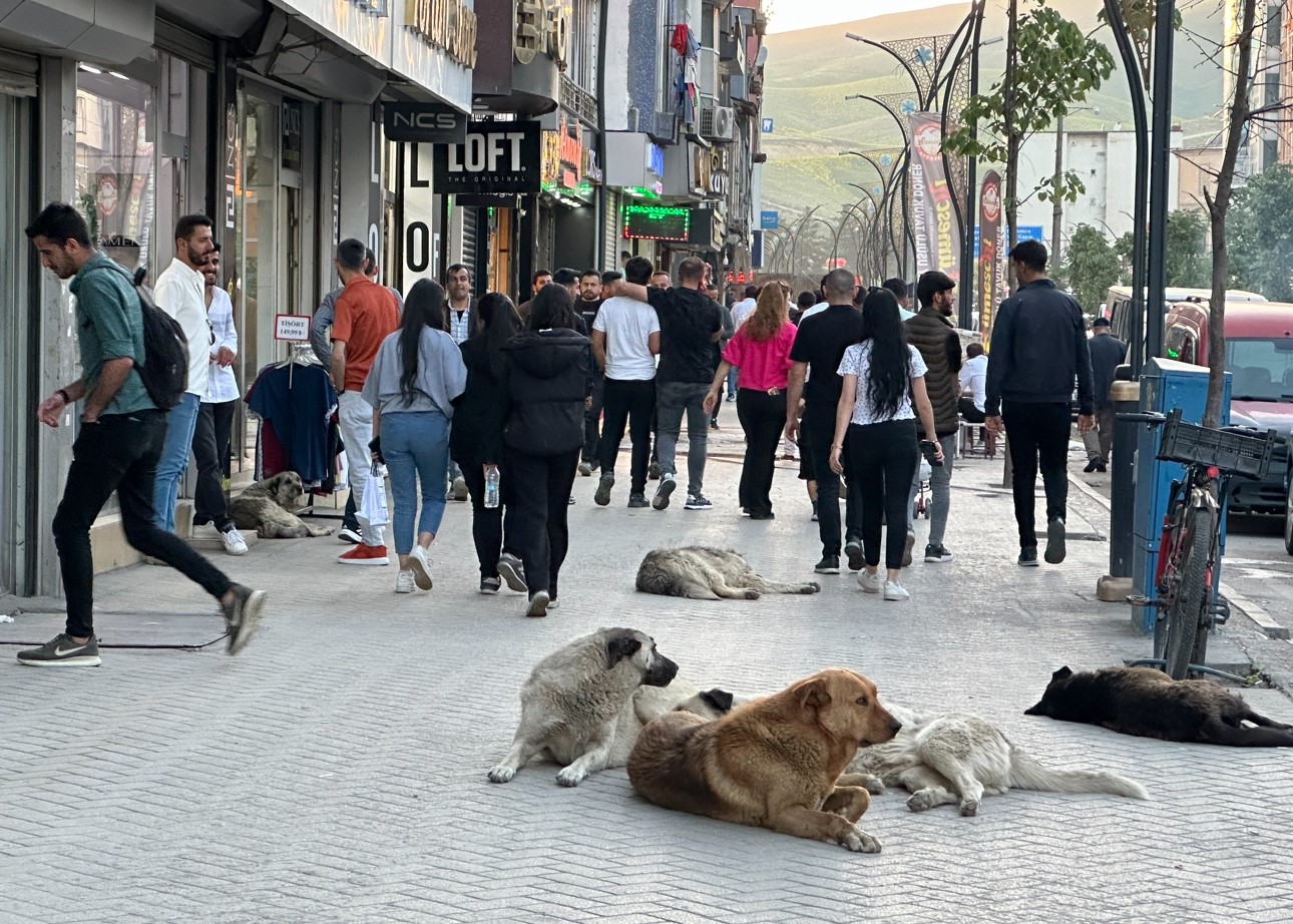 Yüksekovalı vatandaşlar tepkili: 