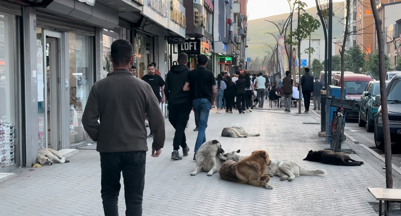 Hayatını kaybeden Eslem’in babası: 