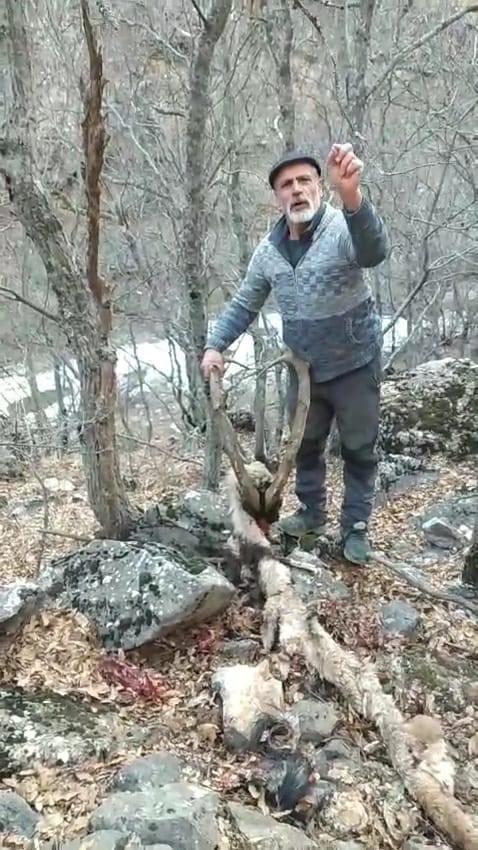 Koruma altındaki keçinin öldürülmesine vatandaş tepki gösterdi
