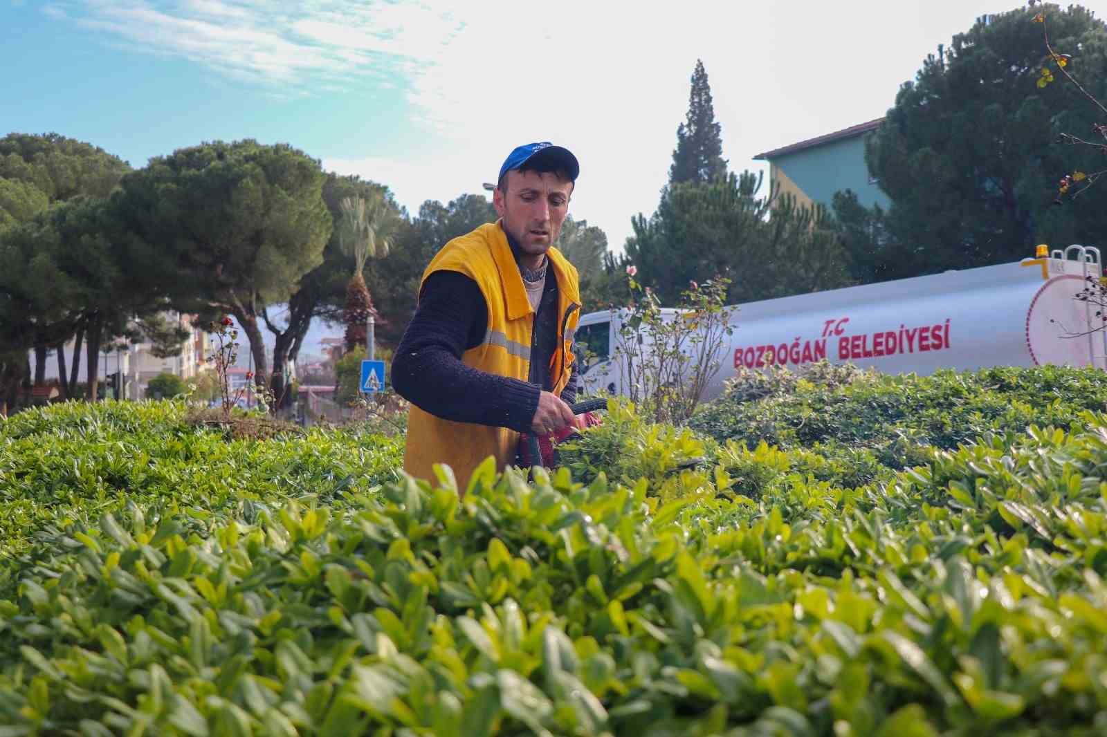 Bozdoğan’da mevsimlik çiçeklerin dikimi yapıldı
