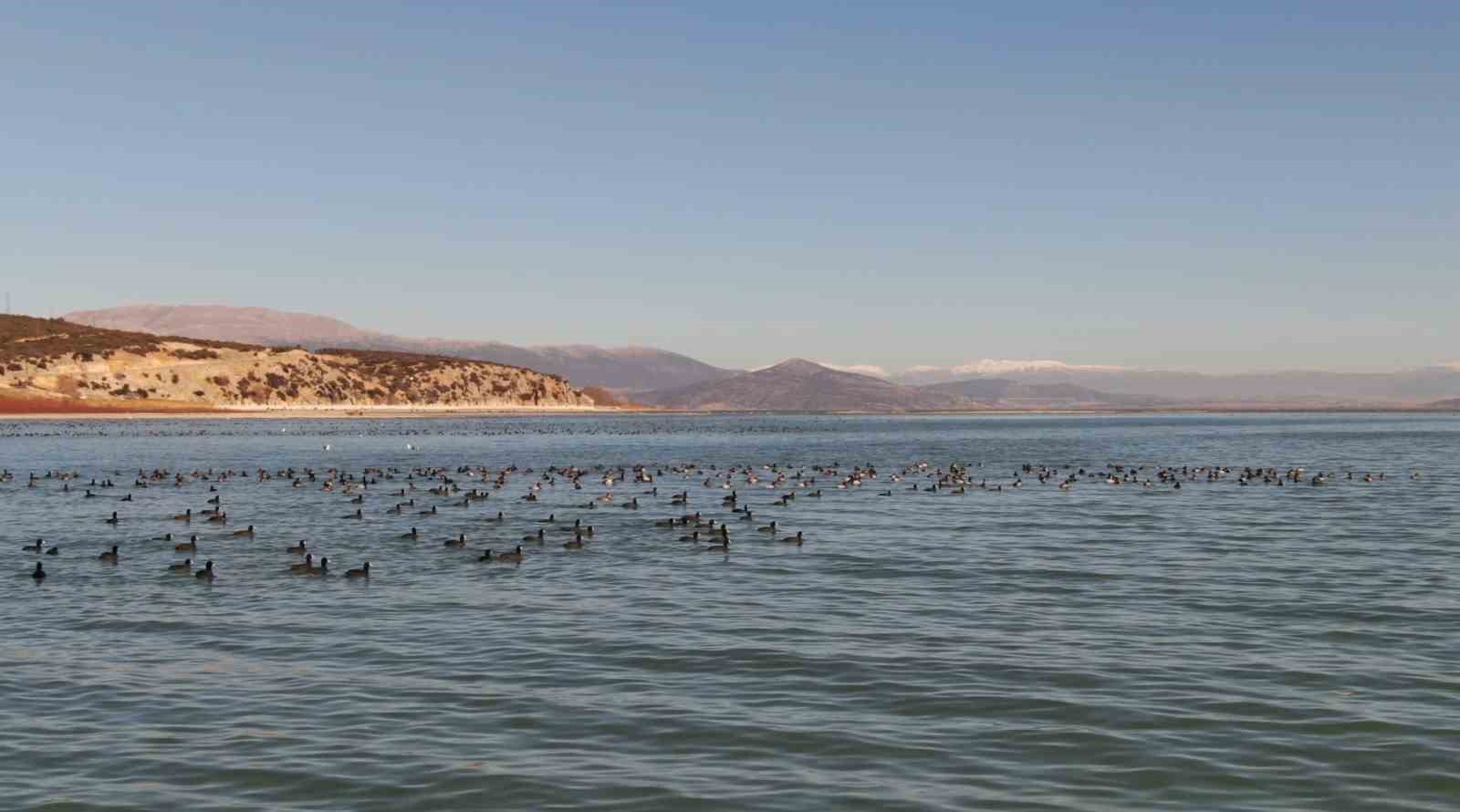 Göller Yöresi’ndeki su kuşu sayımları ekosistem değişimlerini aydınlatıyor
