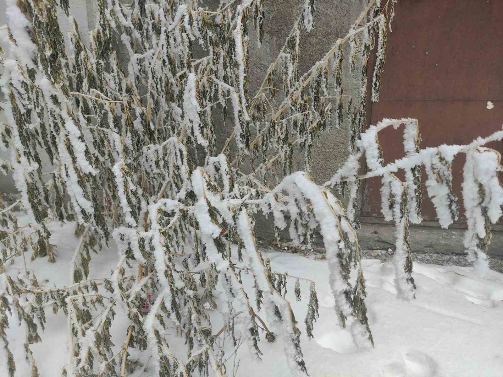 Ardahan’da Sibirya soğukları; Araçlar çalışmadı
