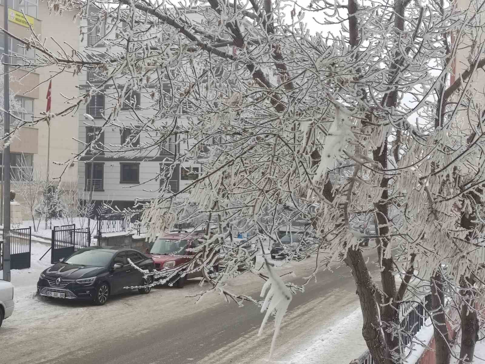 Ardahan’da Sibirya soğukları; Araçlar çalışmadı
