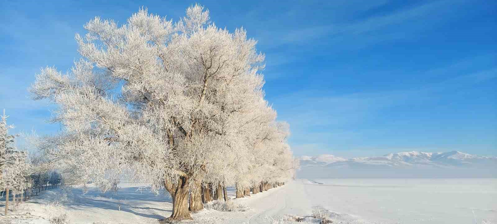 Erzurum Ovası eksi 24 ile buz kesti
