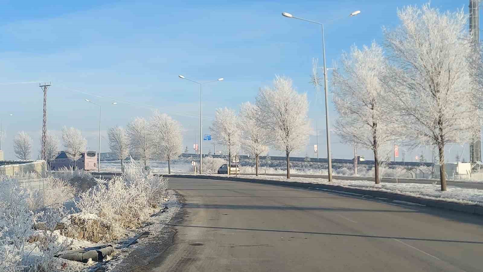 Erzurum Ovası eksi 24 ile buz kesti
