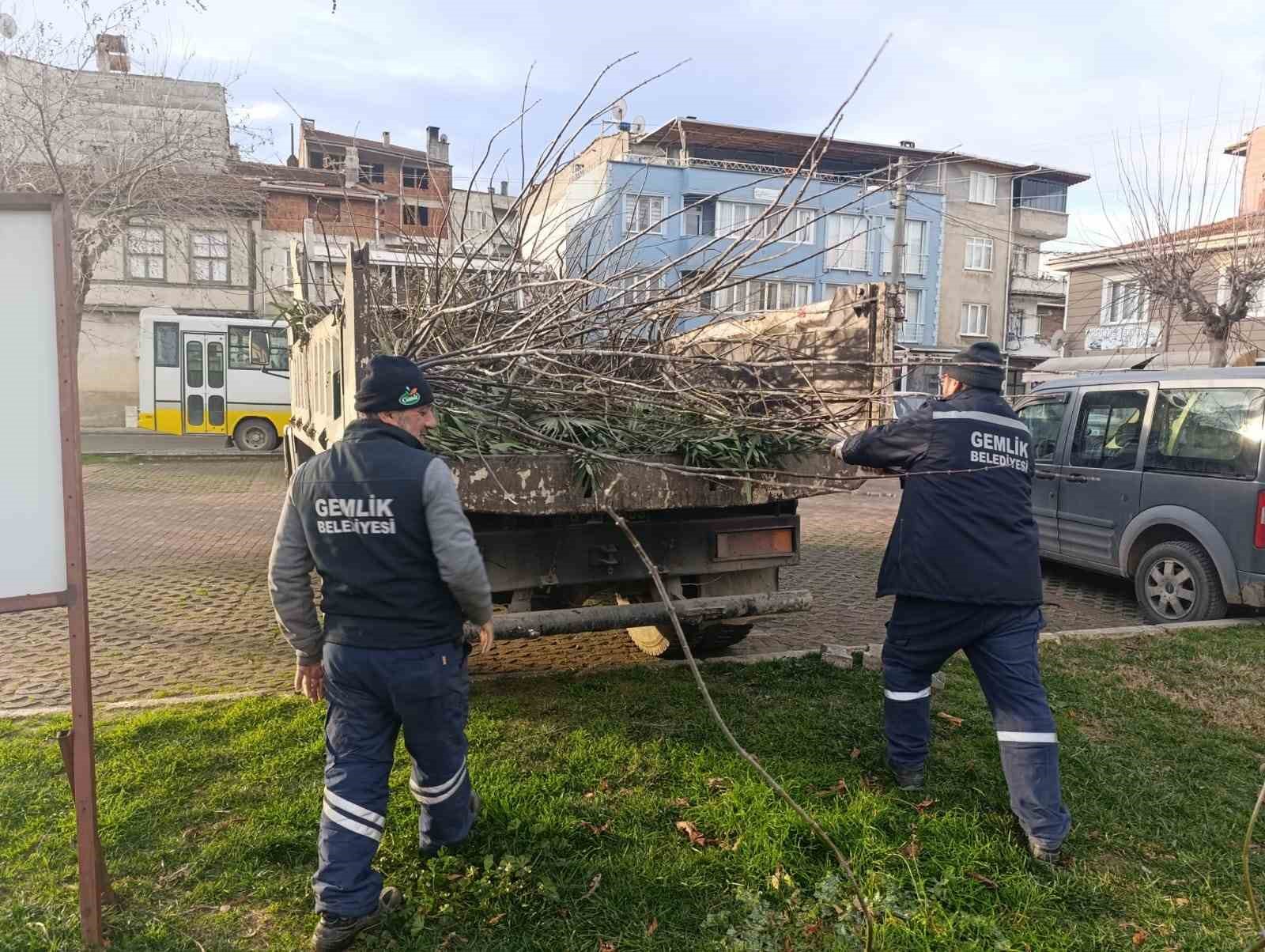 Park ve yeşil alanlarda budama çalışmaları sürüyor
